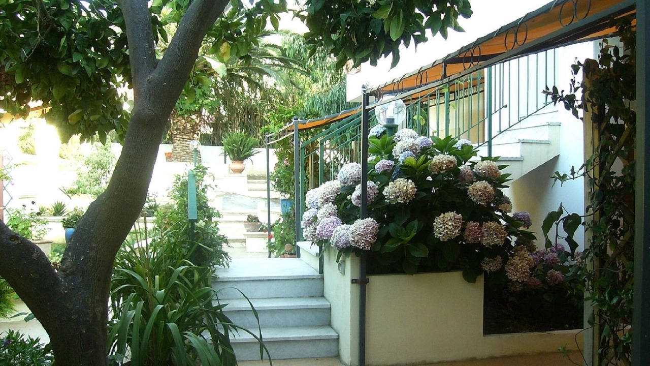 Photo of Outdoor in Parghelia