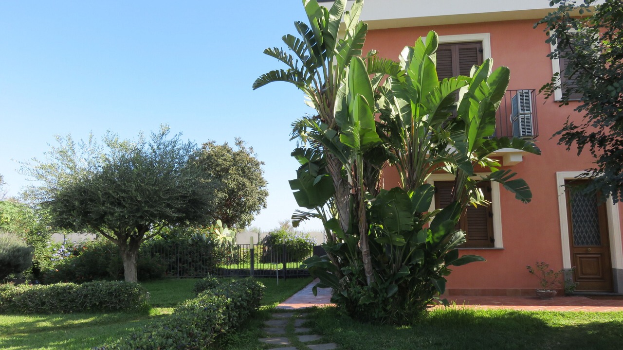 Photo of Outdoor in Santa Tecla