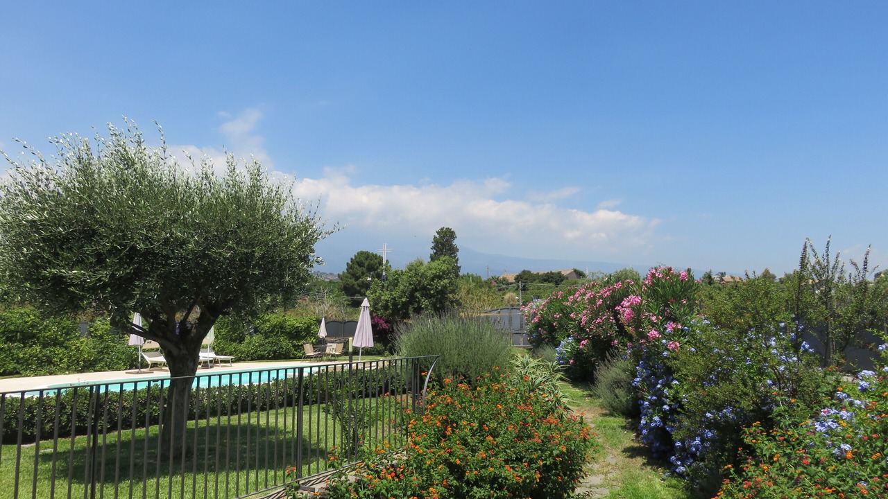 Photo of Outdoor in Santa Tecla