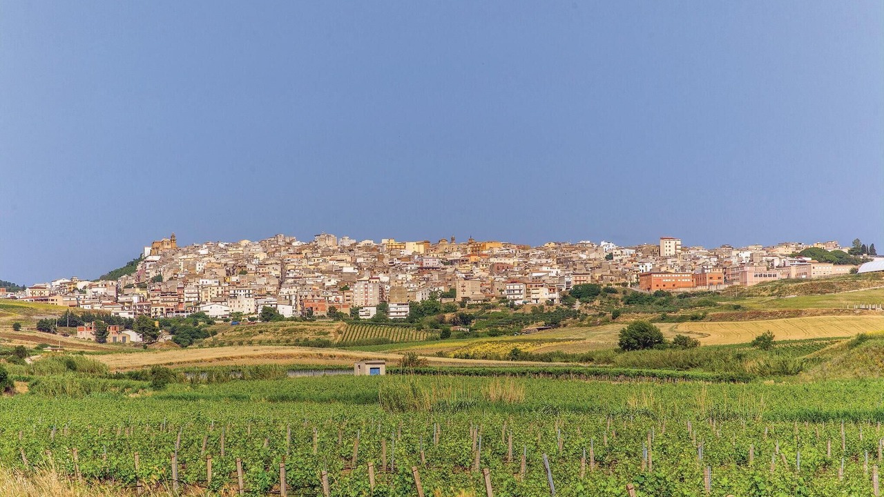 Photo of Others in Sambuca di Sicilia