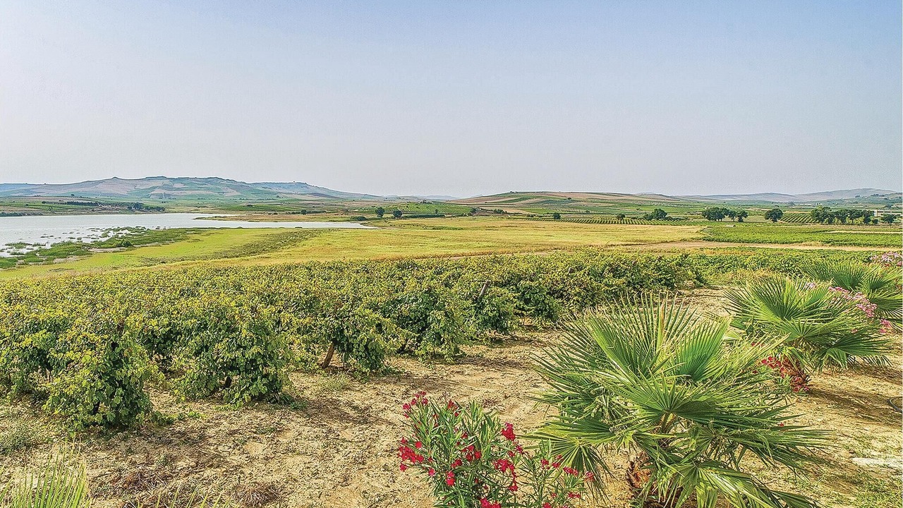 Photo of Others in Sambuca di Sicilia
