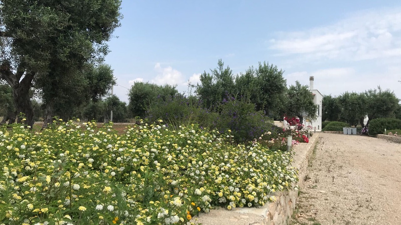 Photo of Outdoor in Patu