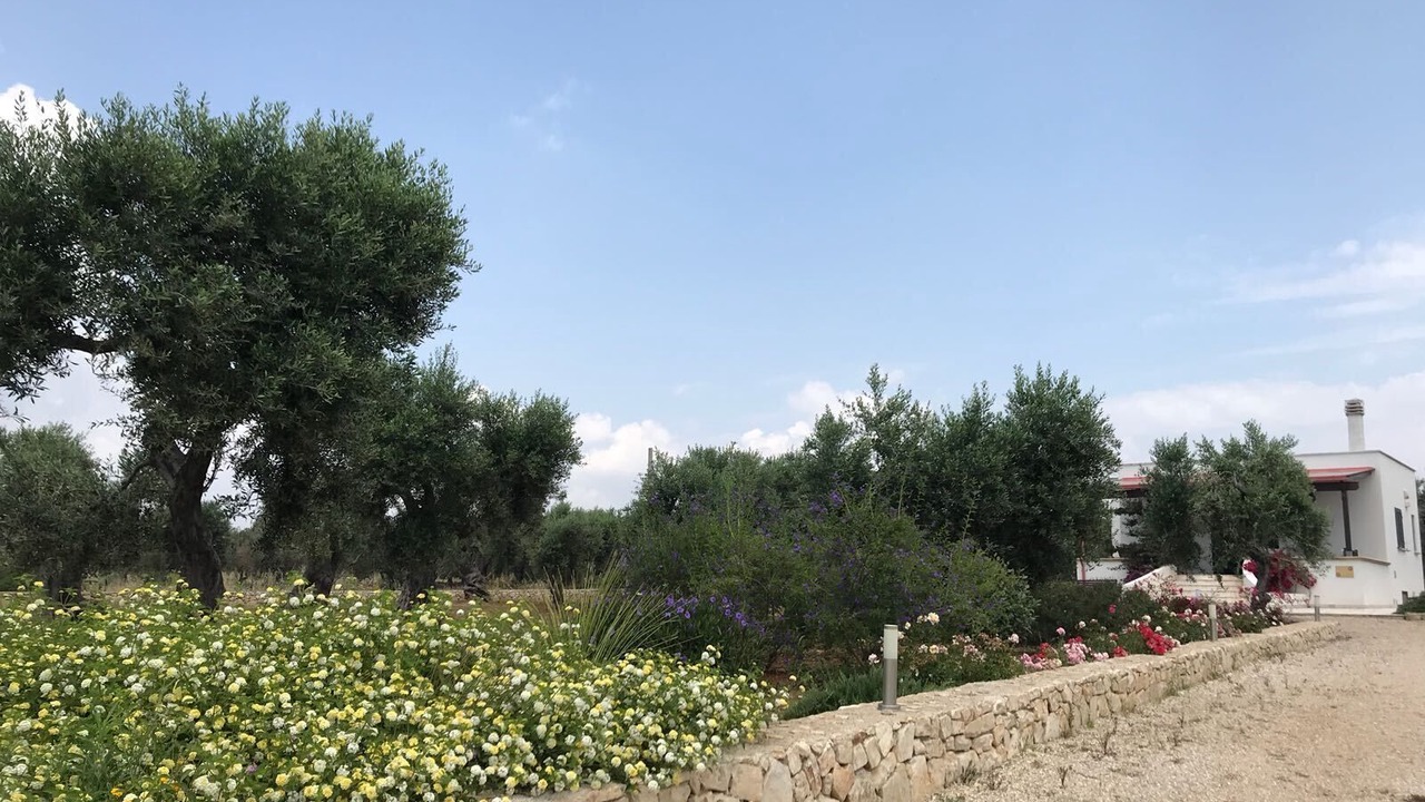 Photo of Outdoor in Patu