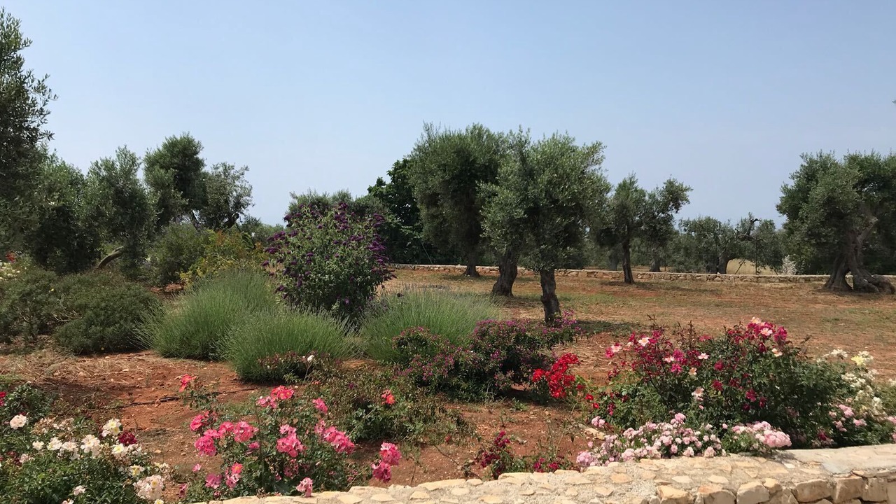 Photo of Outdoor in Patu