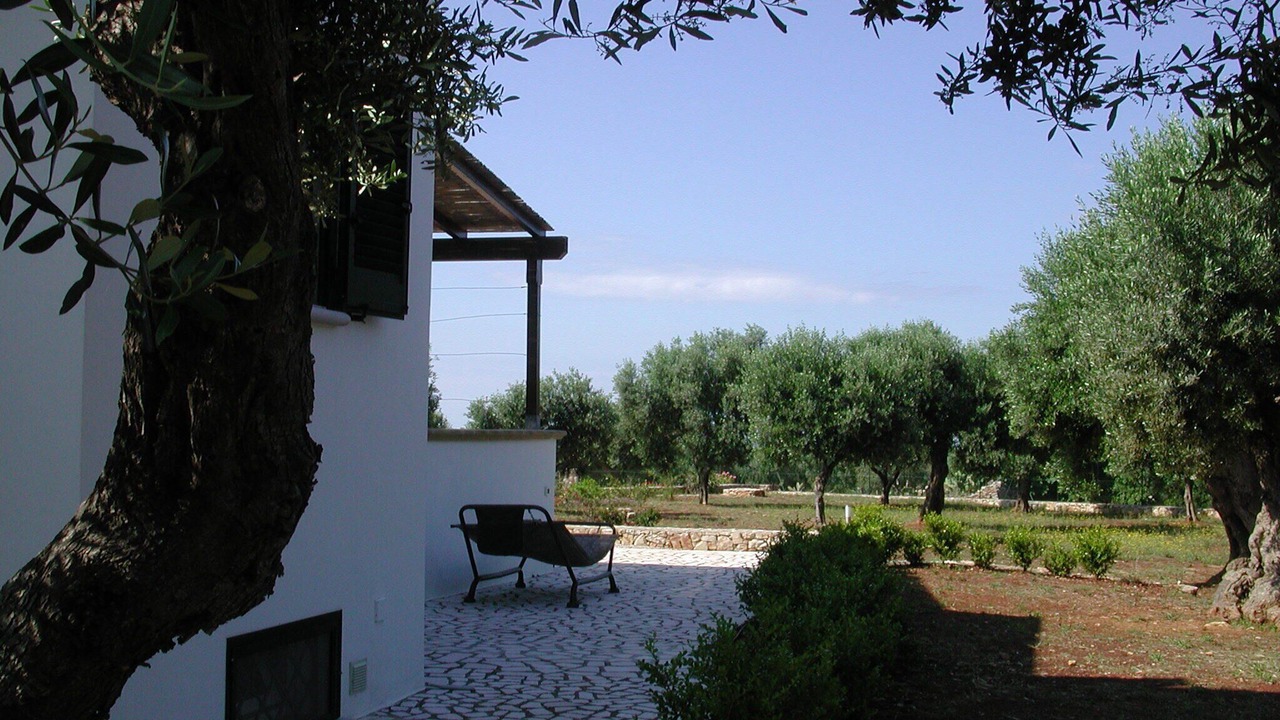 Photo of Outdoor in Patu