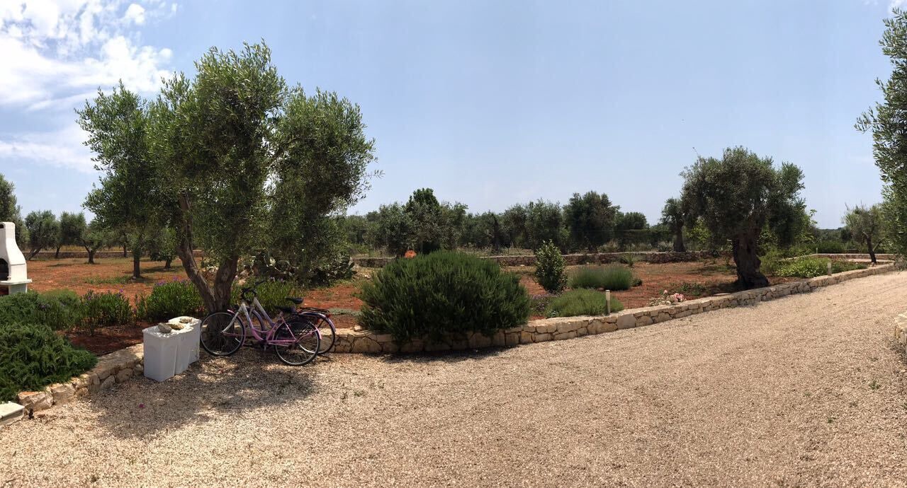 Photo of Outdoor in Patu