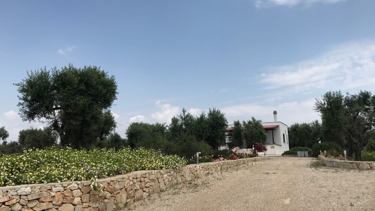 Photo of Outdoor in Patu