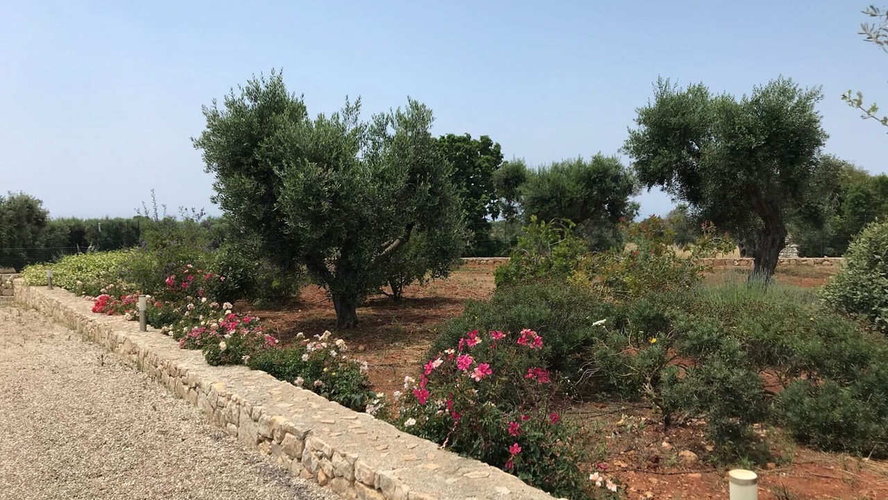 Photo of Outdoor in Patu