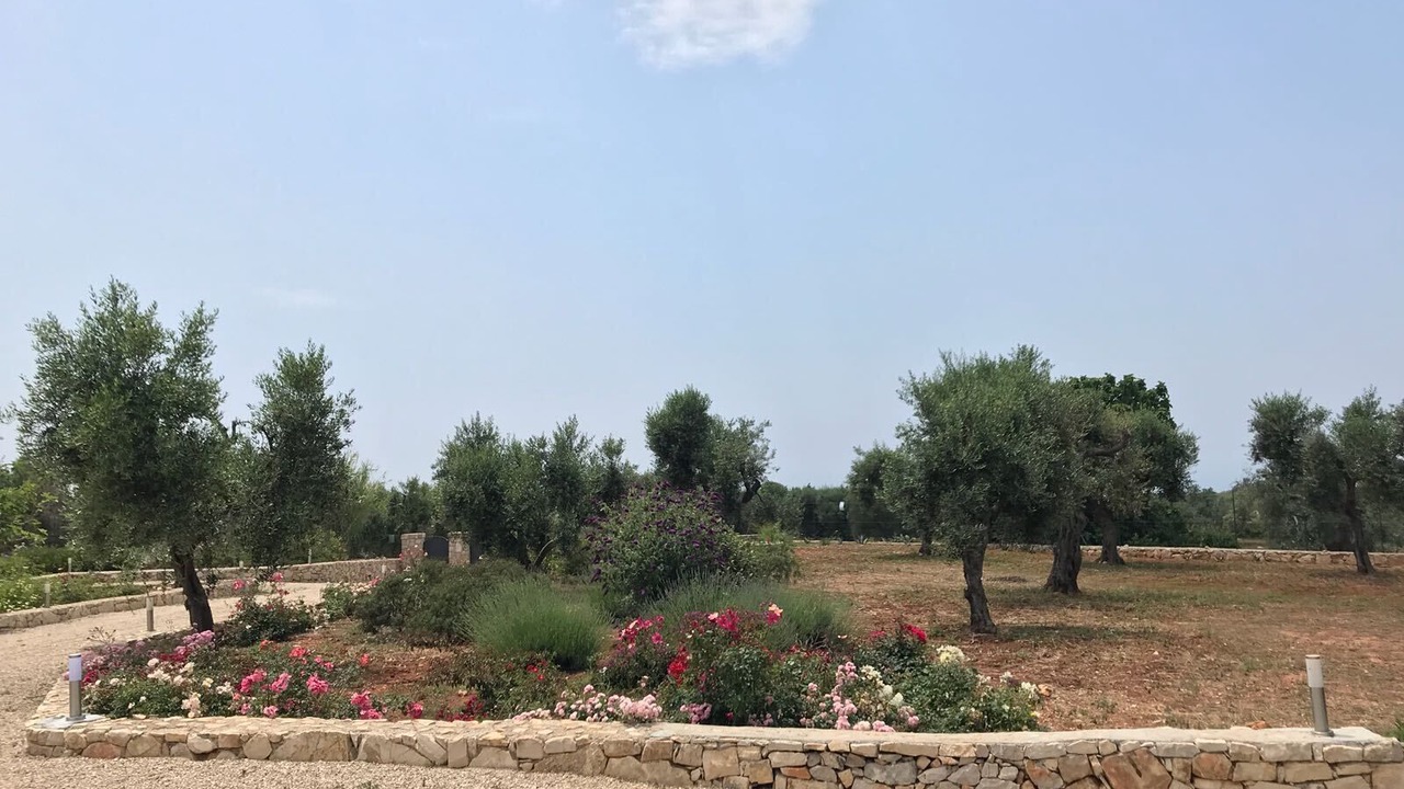 Photo of Outdoor in Patu