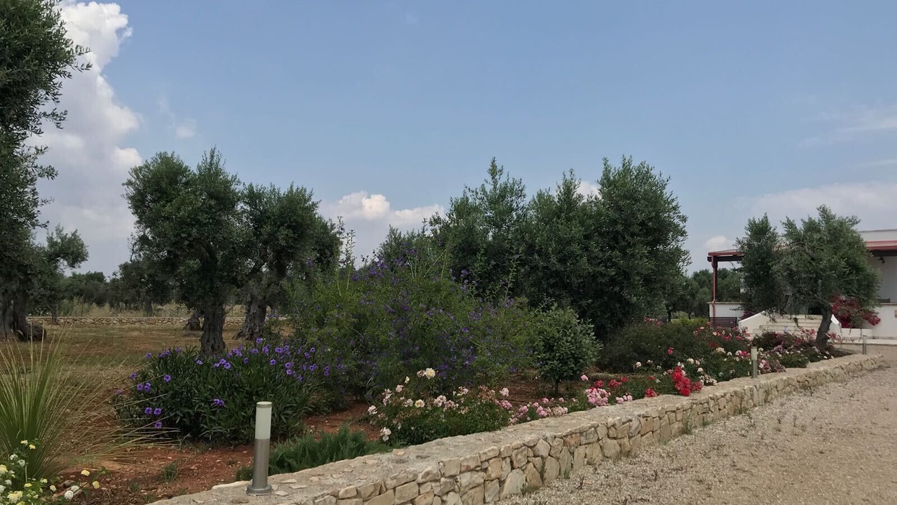 Photo of Outdoor in Patu