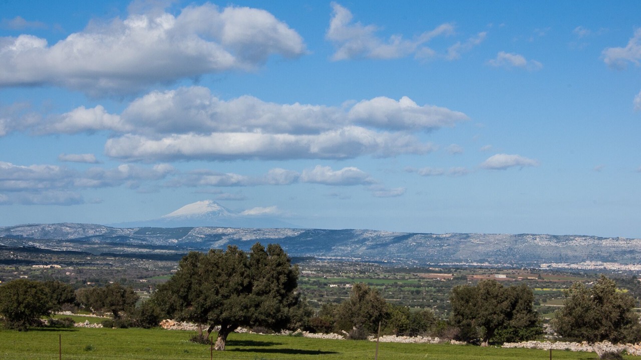 Photo of Others in Noto