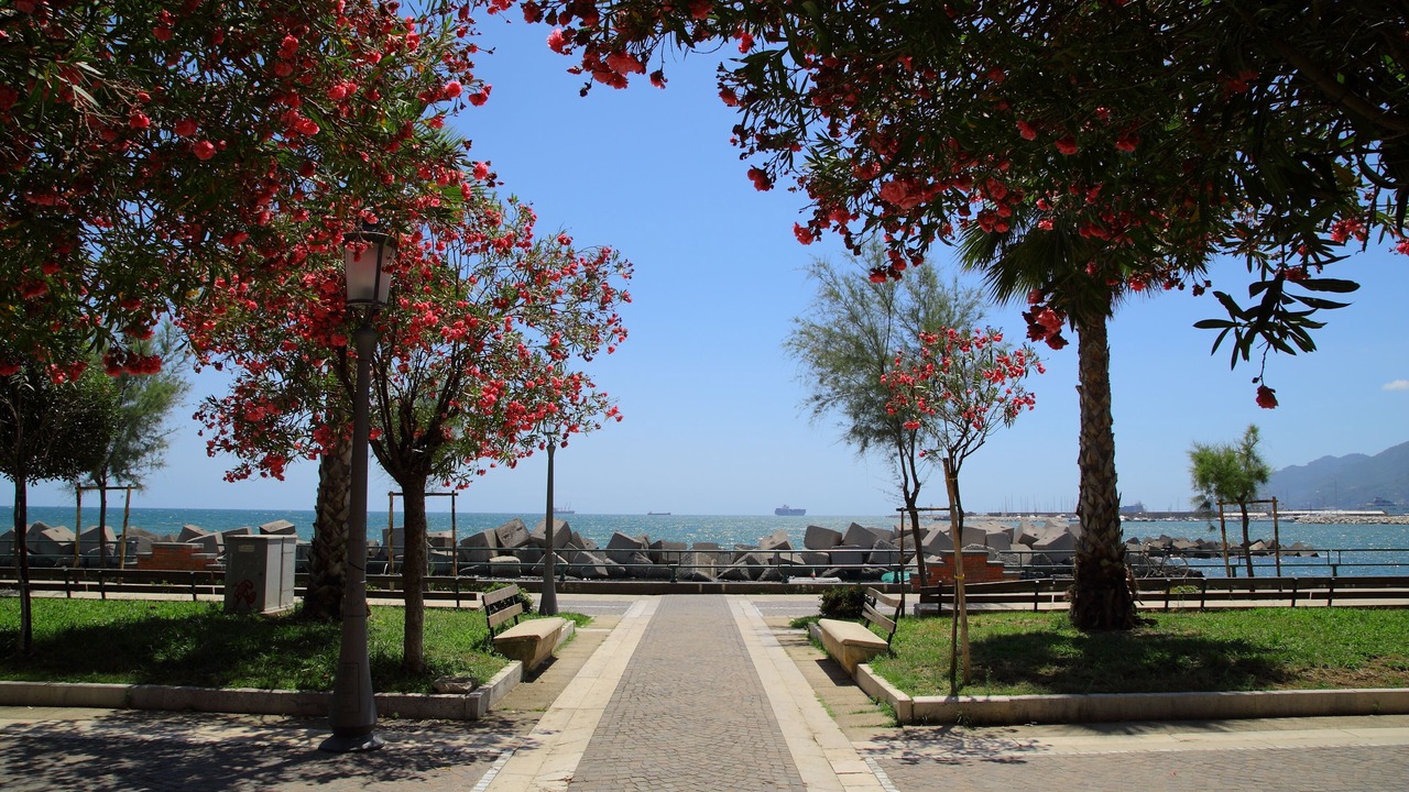 Photo of Others in Historical Downtown Salerno