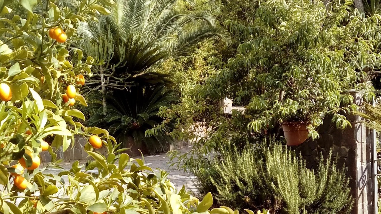 Photo of Outdoor in Gasponi