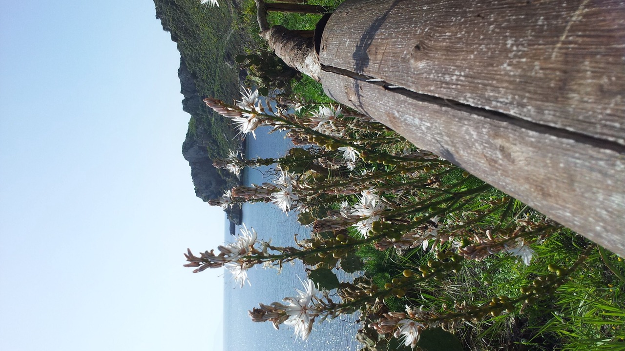 Photo of Outdoor in Milazzo