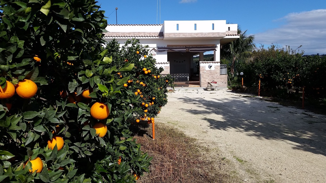 Photo of Outdoor in Sciacca