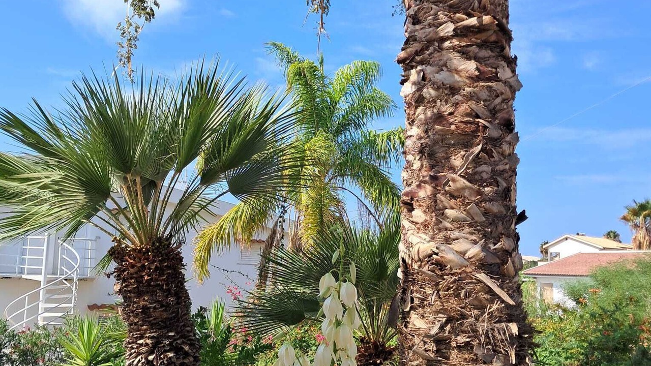 Photo of Outdoor in Localita San Giorgio