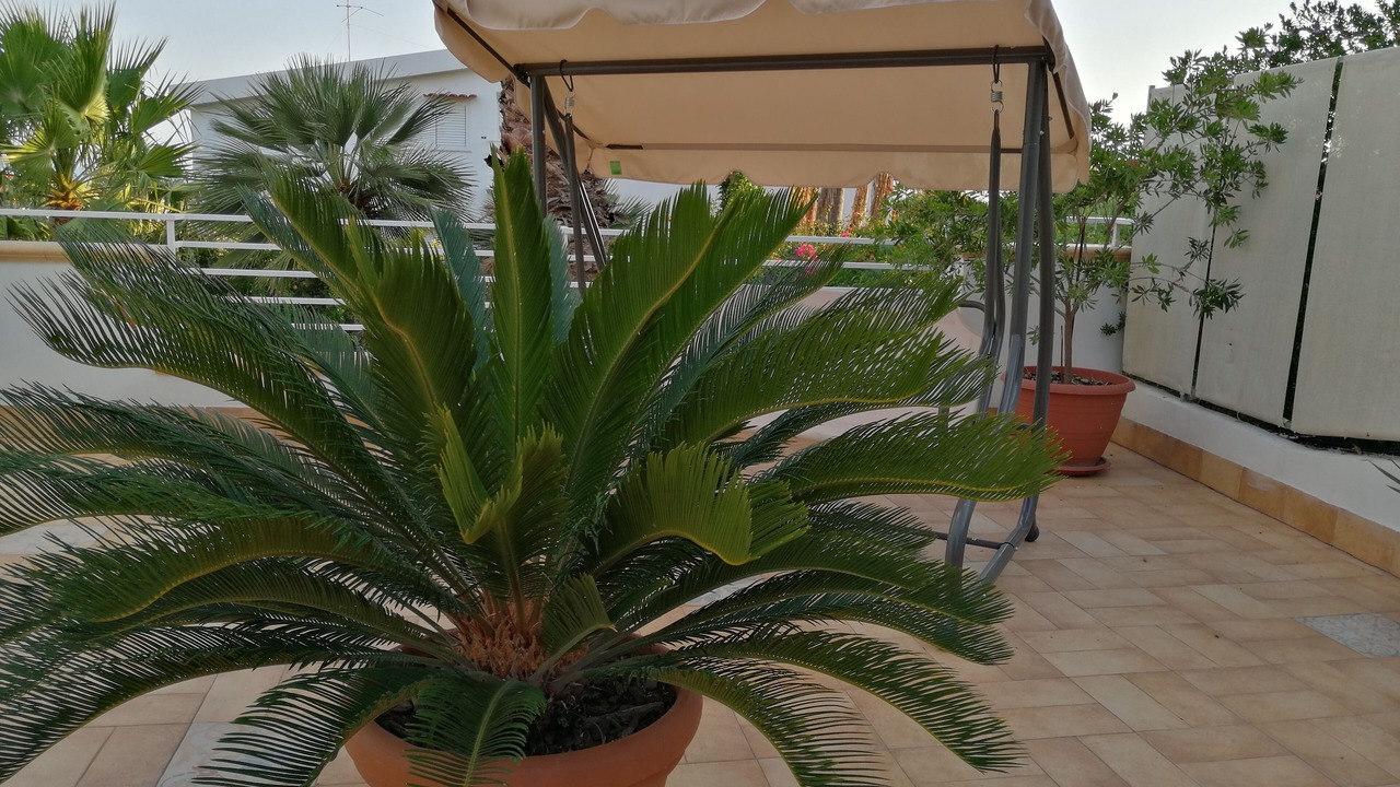Photo of Patio Balcony in Localita San Giorgio