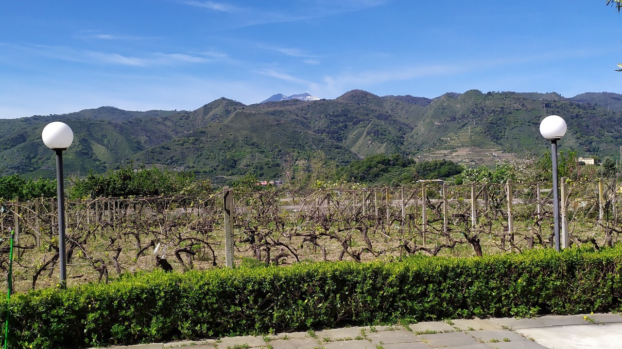 Photo of Outdoor in Mitogio