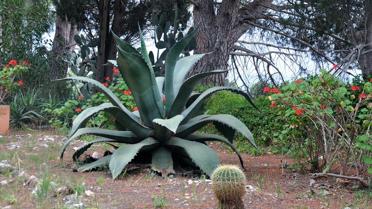Photo of Outdoor in Terrasini