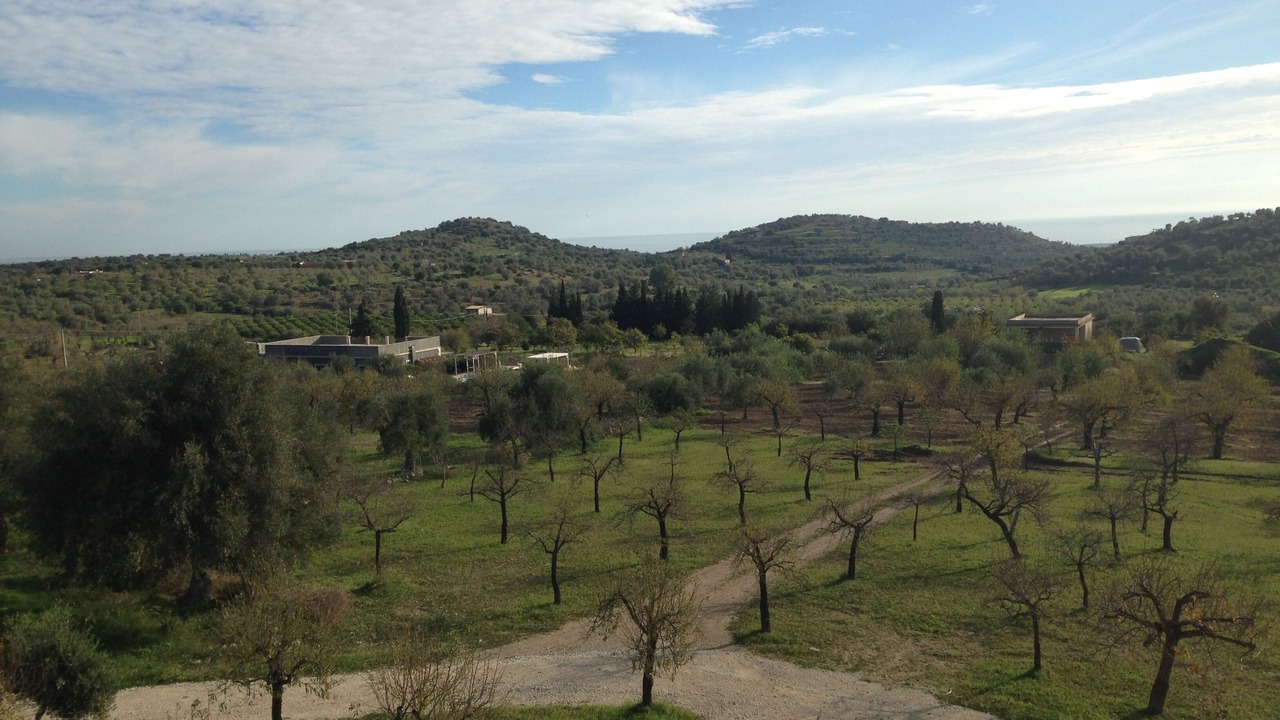 Photo of Outdoor in Avola