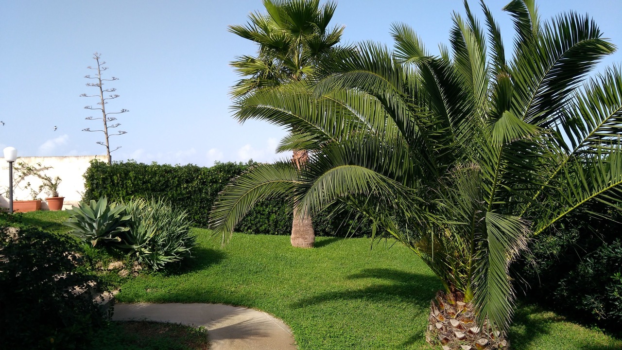 Photo of Outdoor in Pachino