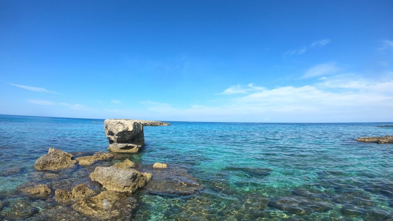 Photo of Others in Otranto