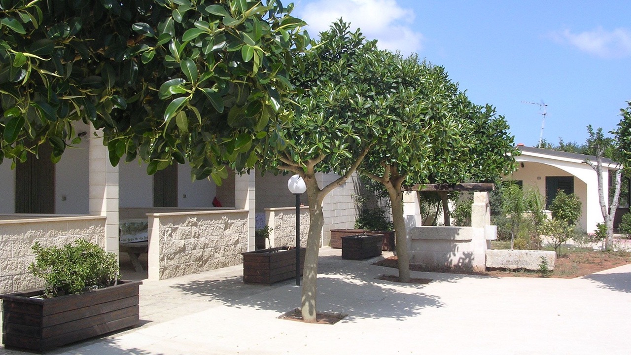 Photo of Others in Otranto