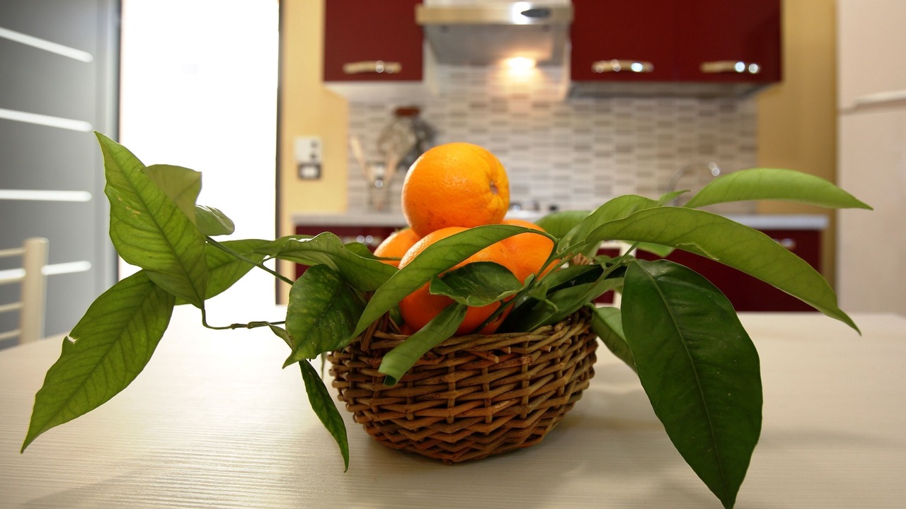 Photo of Kitchen in Avola