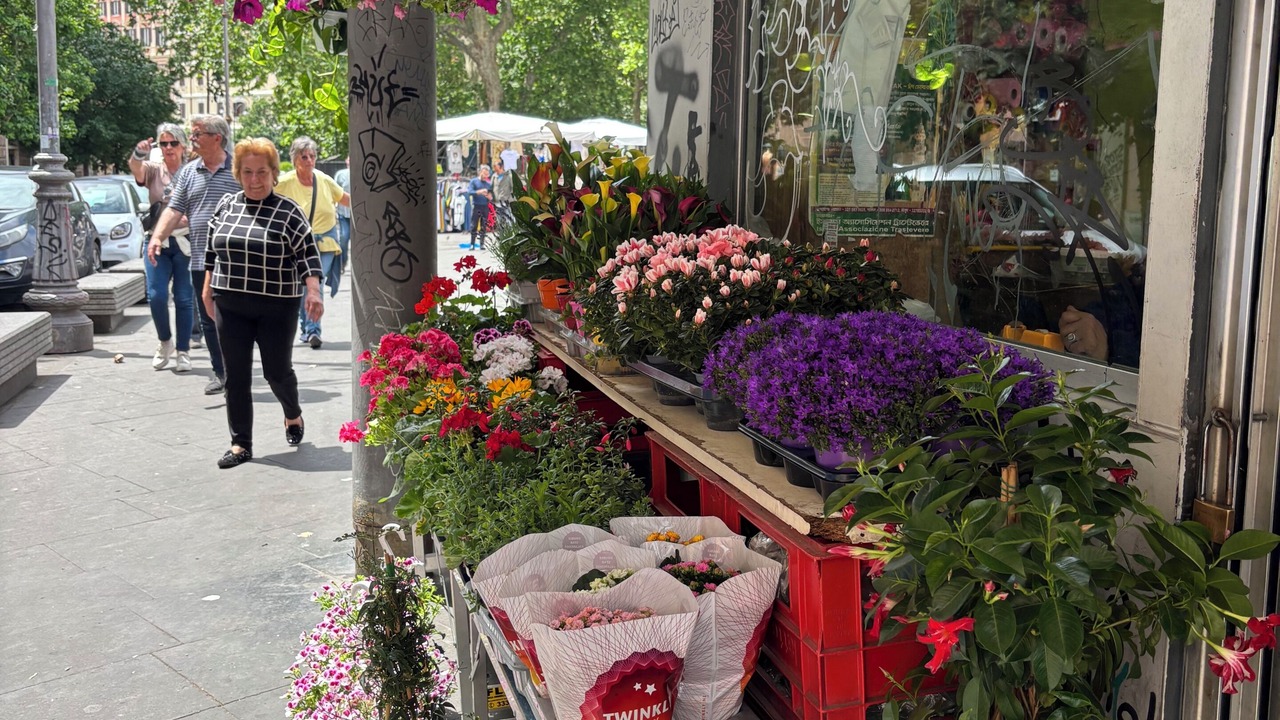 Photo of Others in Trastevere
