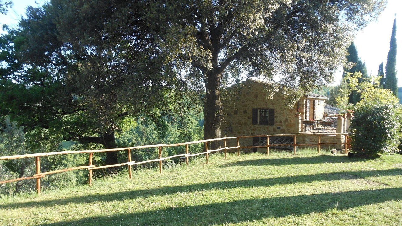 Photo of Outdoor in Montefollonico