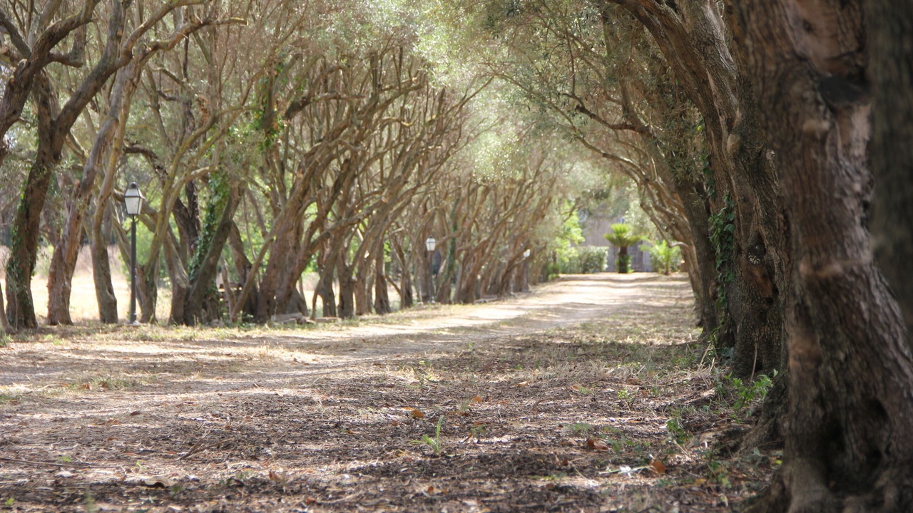 Photo of Outdoor in Santa Maria di Castellabate
