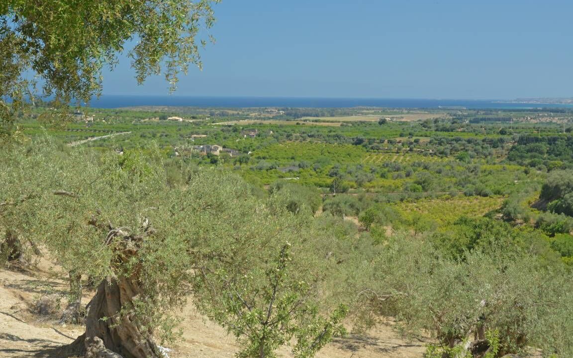 Photo of Outdoor in Noto