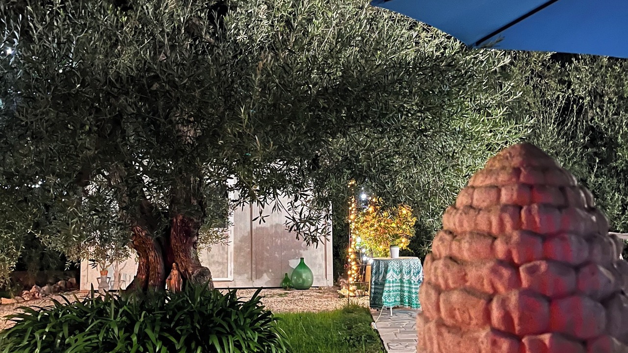 Photo of Outdoor in Trani