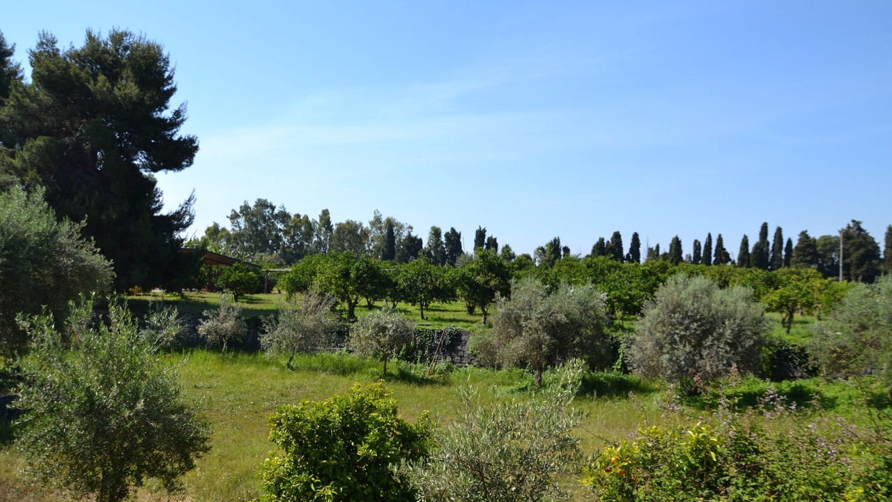 Photo of Outdoor in Archi