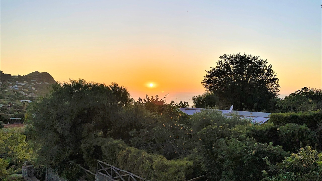 Photo of Outdoor in Forio
