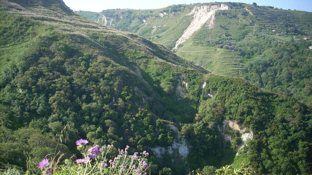 Photo of Outdoor in Parghelia