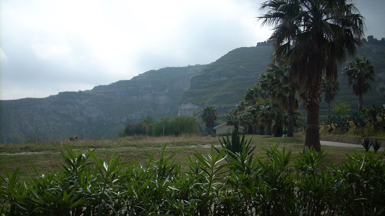 Photo of Outdoor in Parghelia