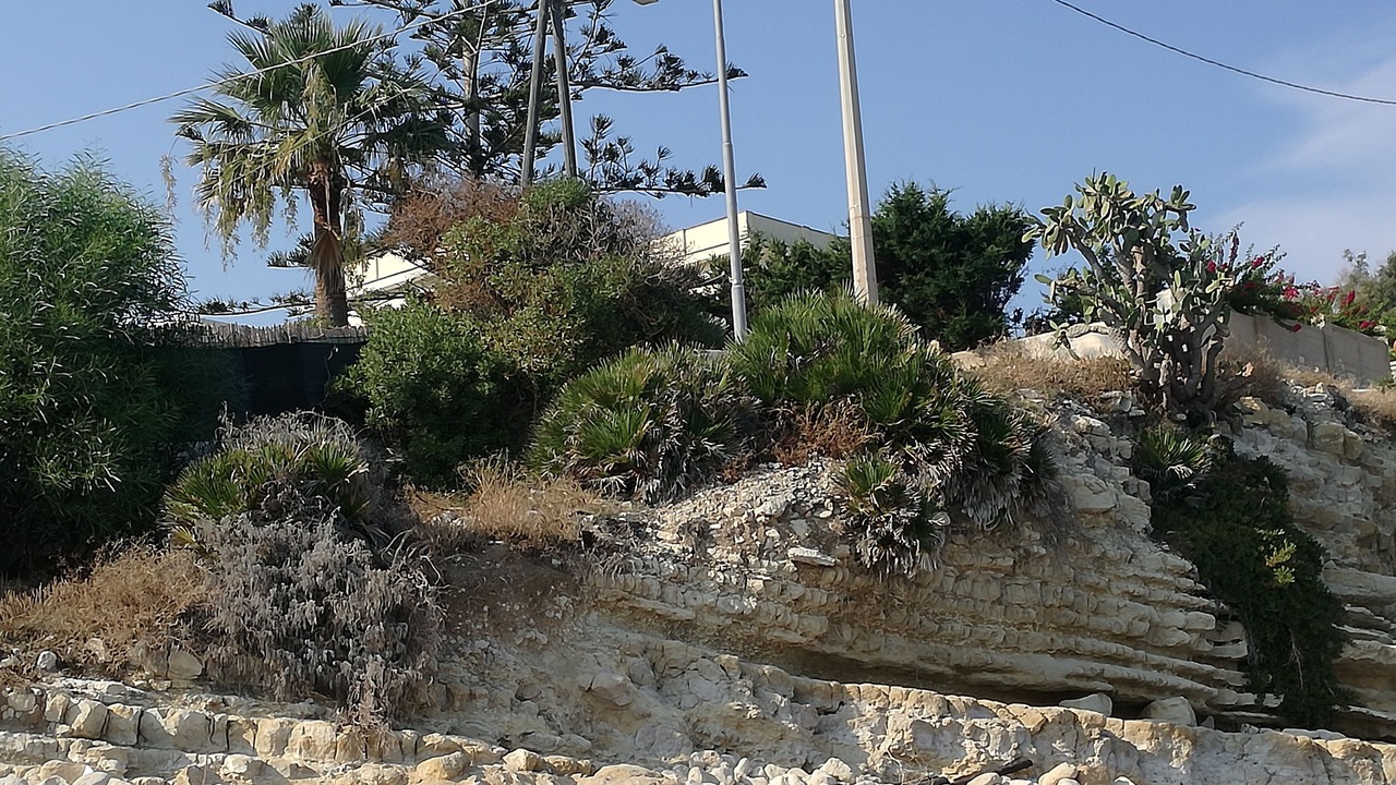 Photo of Outdoor in Gallina