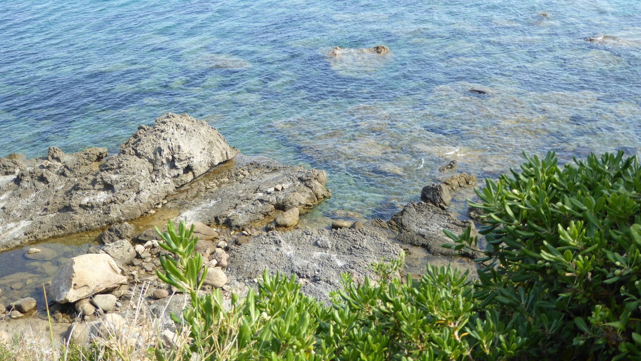 Photo of Others in Cefalu