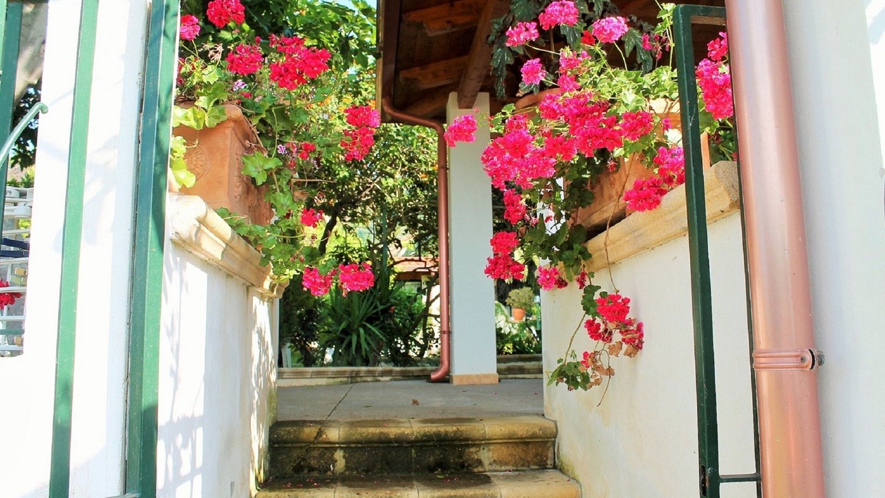 Photo of Outdoor in Parghelia