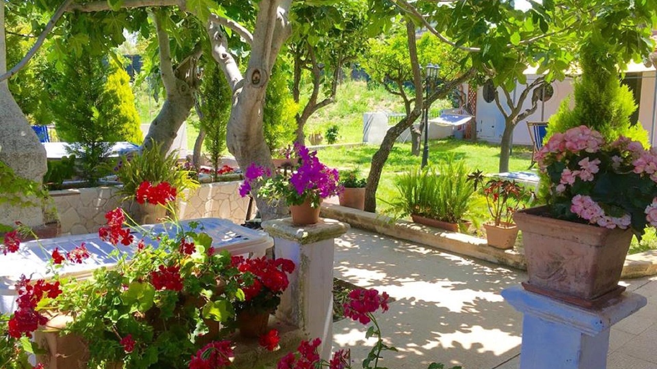 Photo of Outdoor in Parghelia