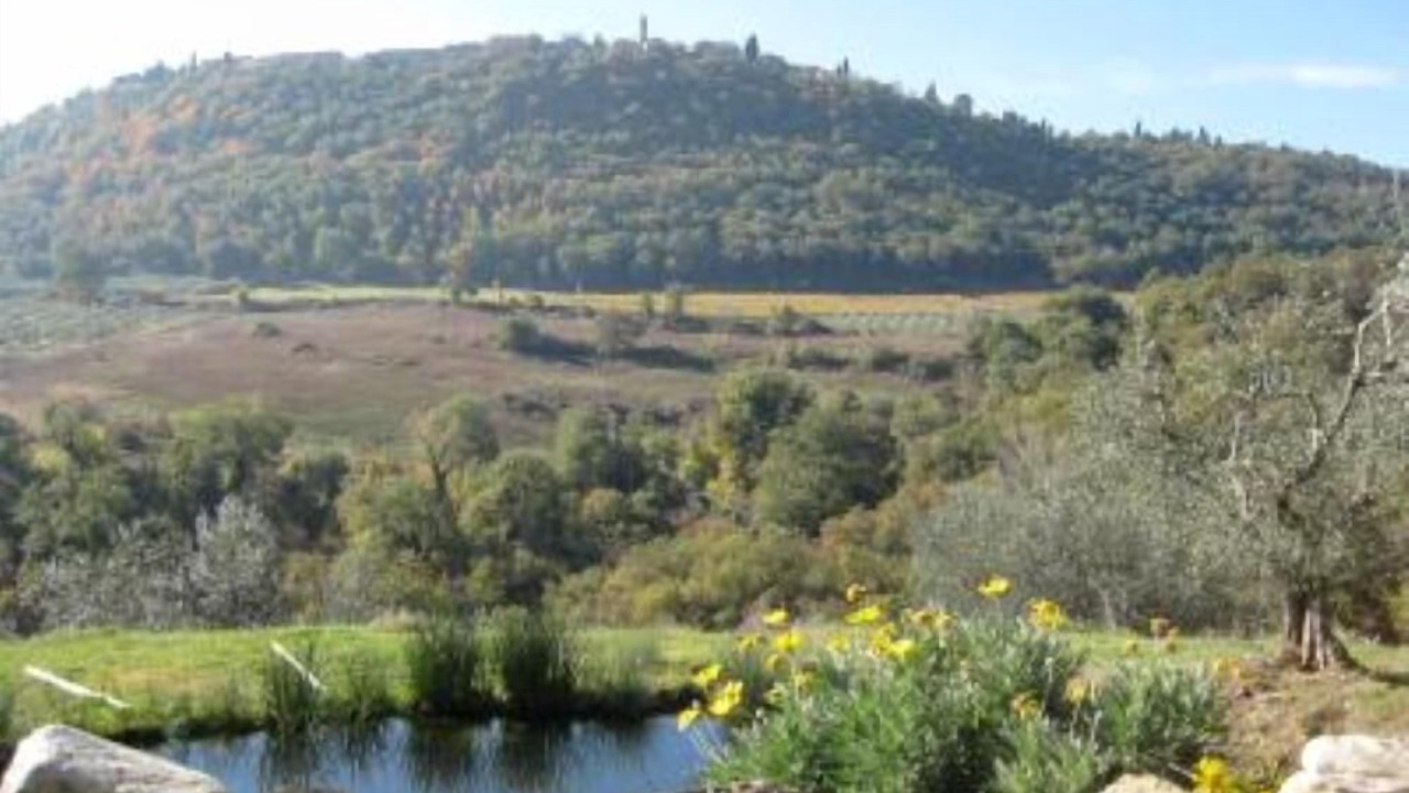 Photo of Outdoor in Torrita di Siena
