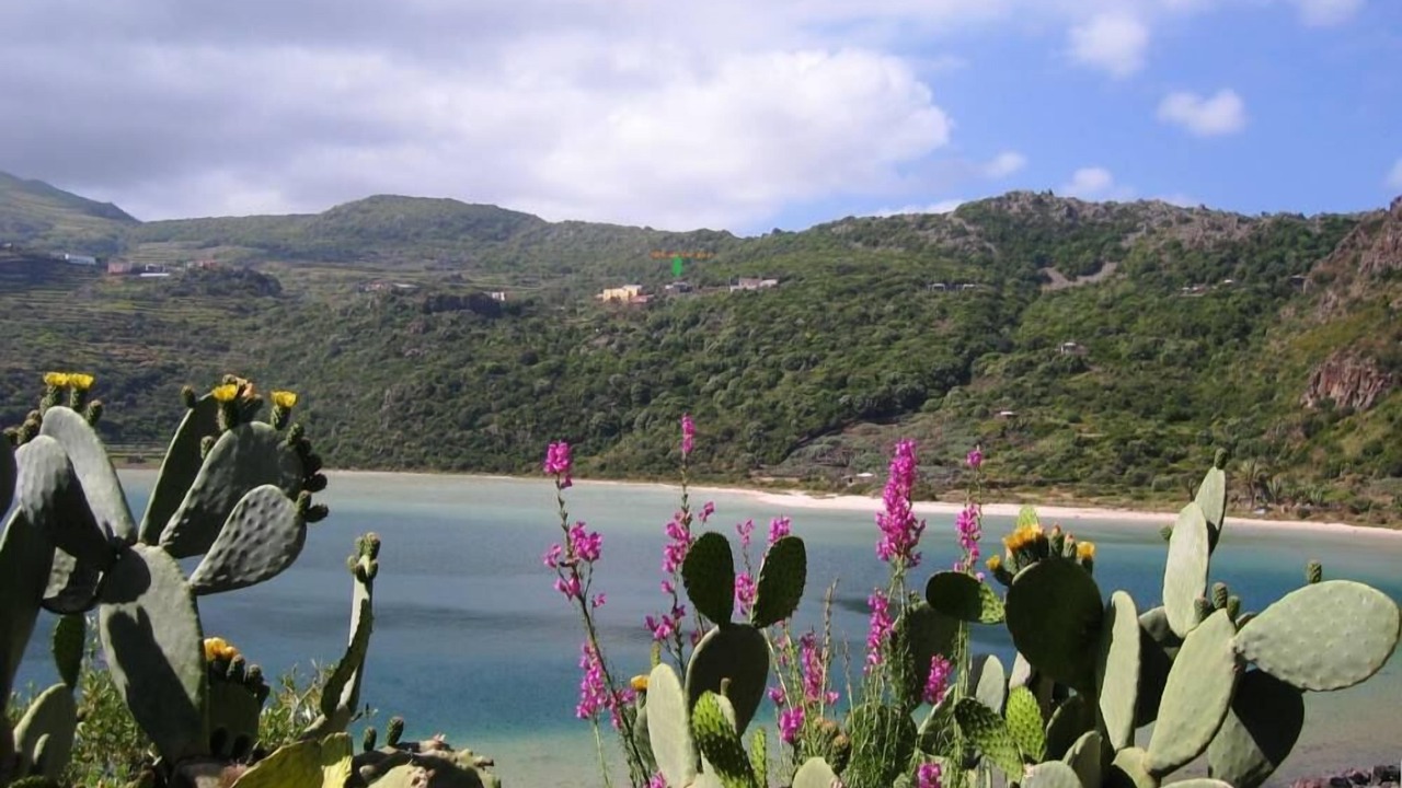 Photo of Others in Pantelleria