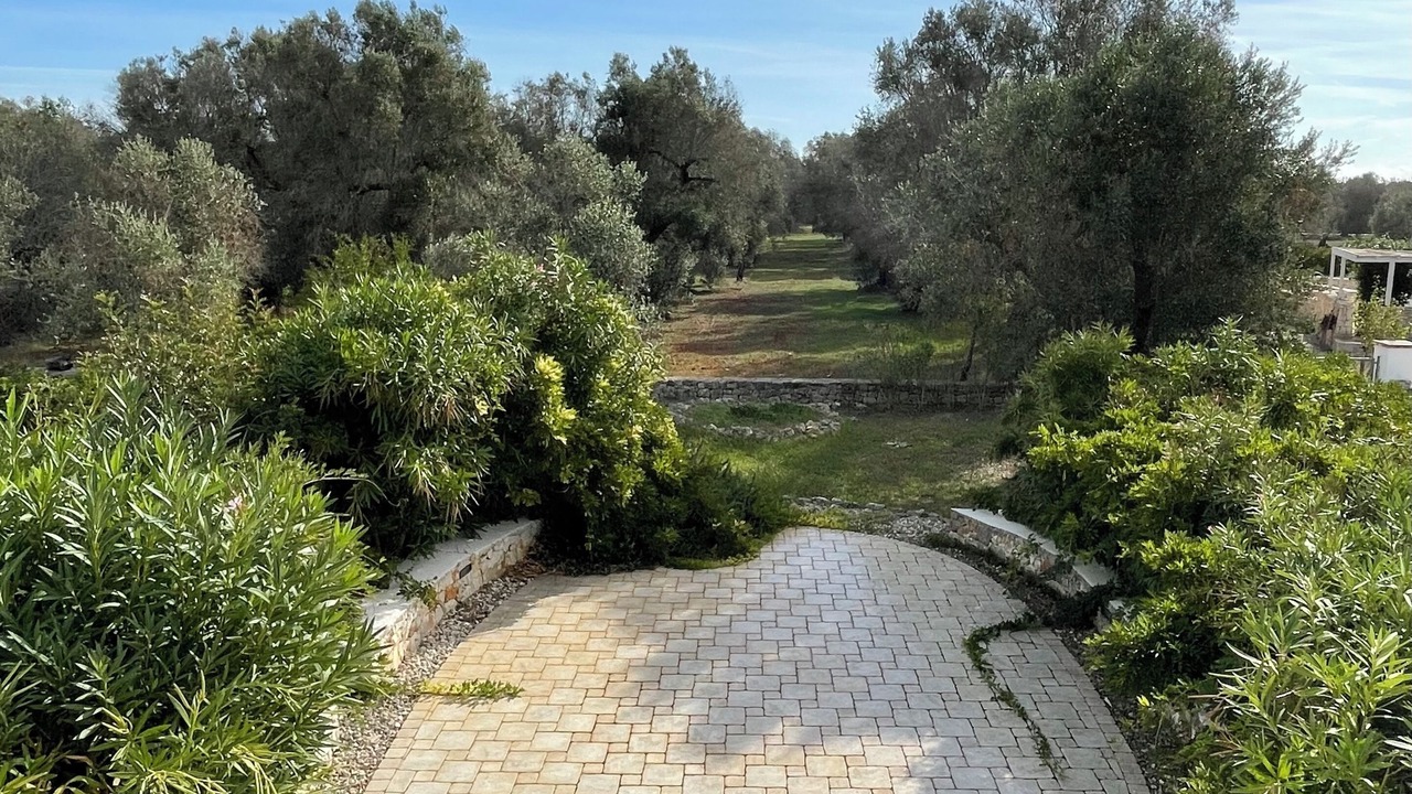 Photo of Outdoor in San Michele Salentino