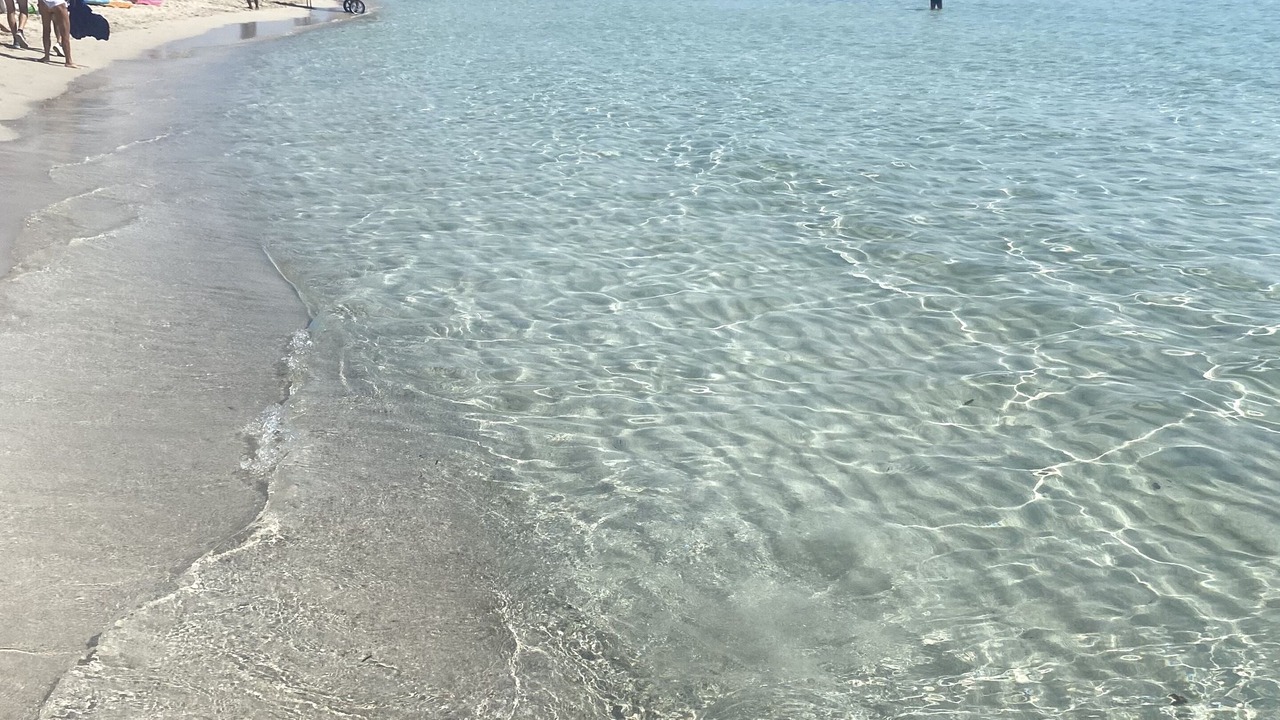 Photo of Others in San Michele Salentino