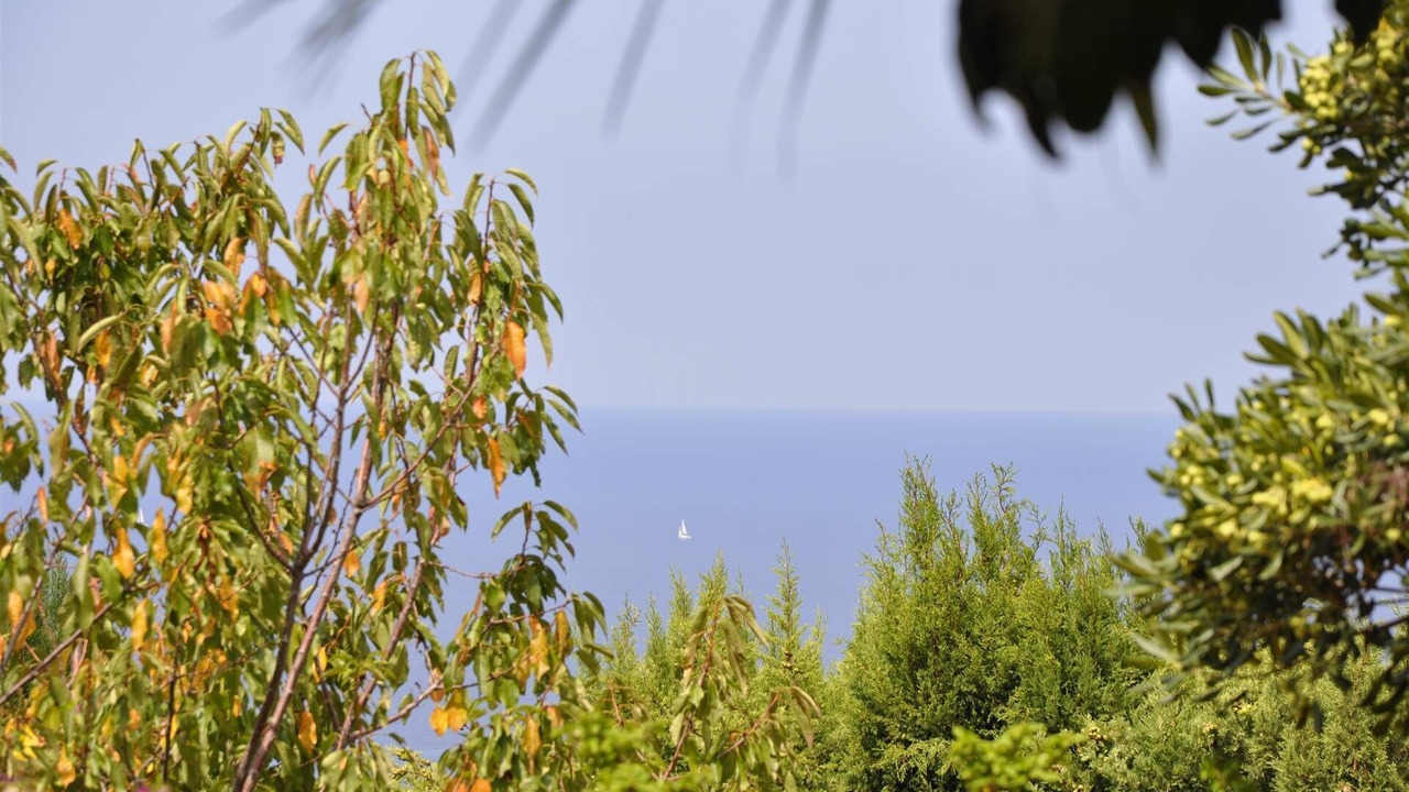 Photo of Outdoor in Santa Domenica