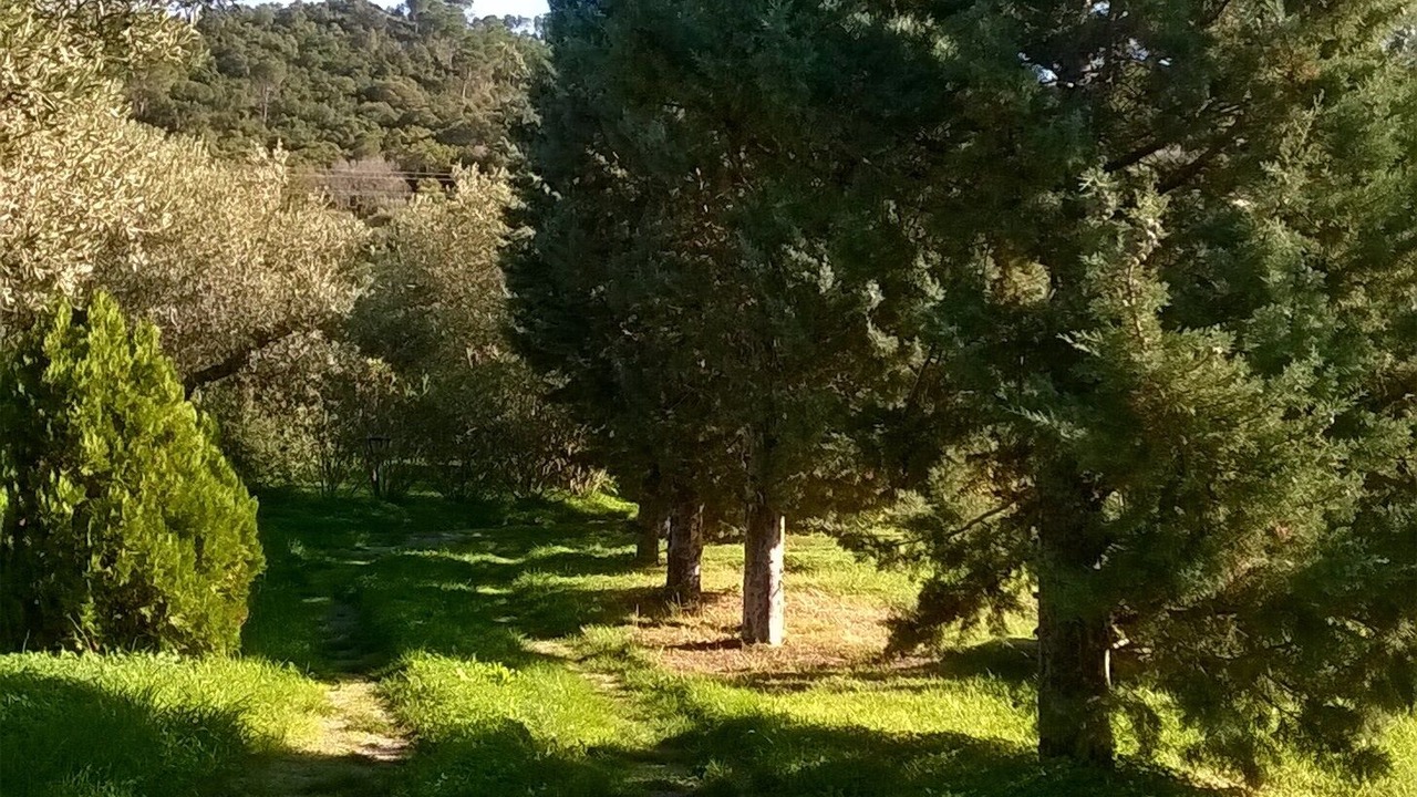 Photo of Outdoor in Cefalu
