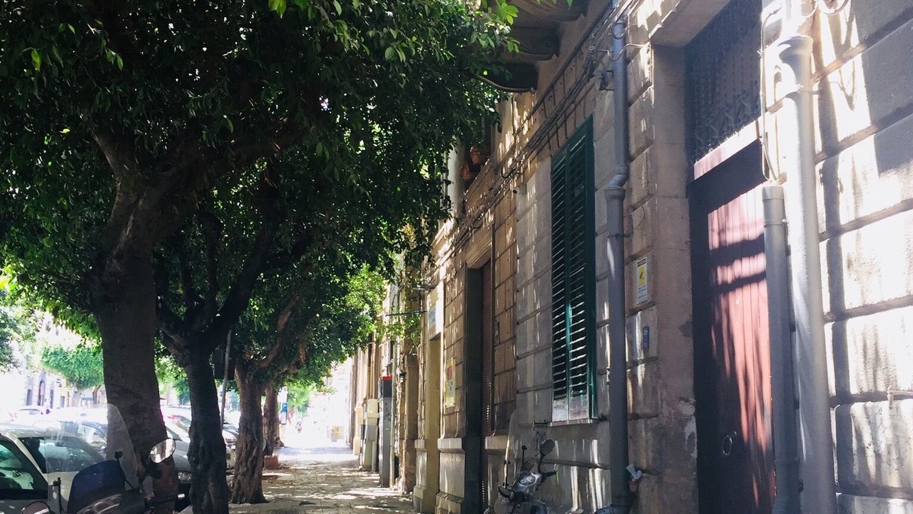 Photo of Outdoor in Palermo