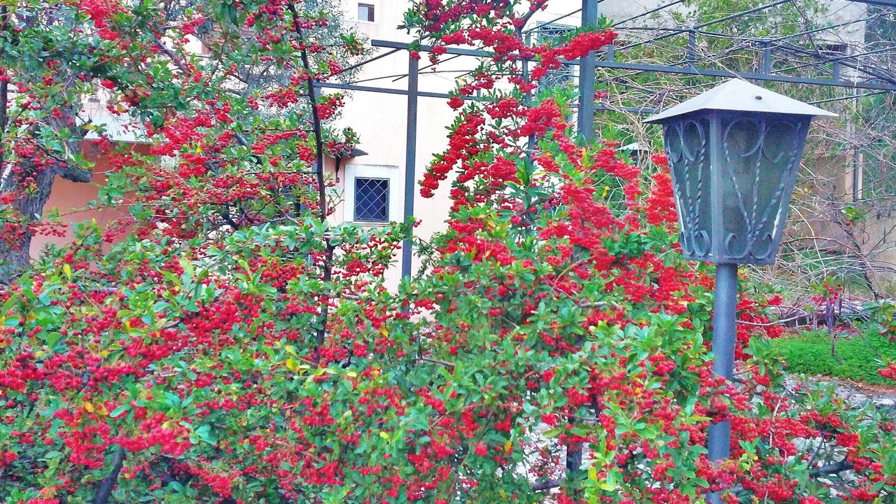 Photo of Outdoor in Gerace