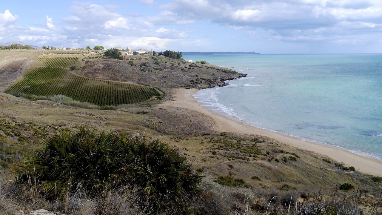 Photo of Others in Castelvetrano